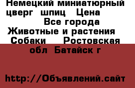 Немецкий миниатюрный(цверг) шпиц › Цена ­ 50 000 - Все города Животные и растения » Собаки   . Ростовская обл.,Батайск г.